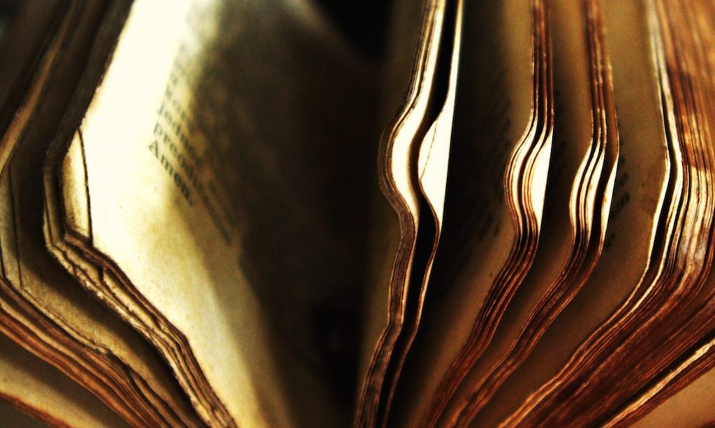 La Parola VII Domenica del Tempo Ordinario (Anno&nbsp;A)