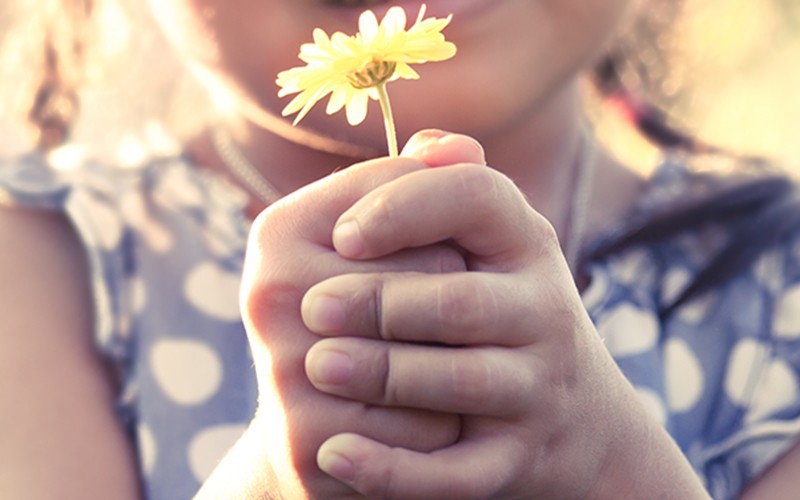 padre Ermes Ronchi”Porgi l’altra guancia: disinnesca il&nbsp;male”