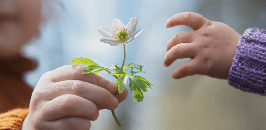 mons. Roberto Brunelli”La rivoluzione della non-violenza”