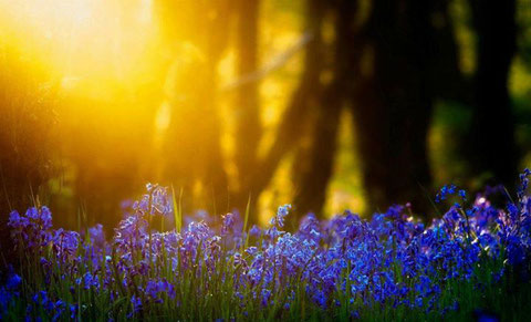 Jesùs Manuel Garcìa LECTIO – ANNO A V DOMENICA TEMPO&nbsp;ORDINARIO