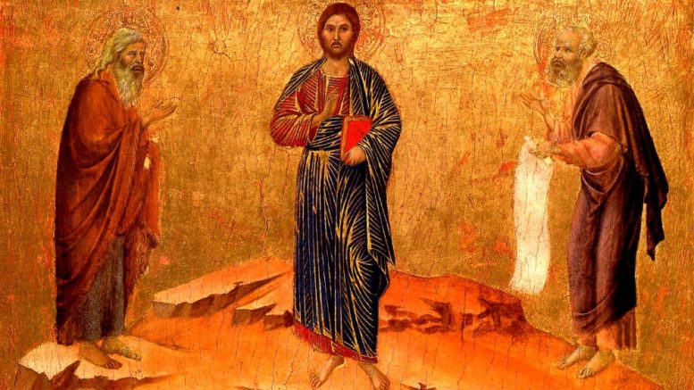 padre Ermes Ronchi”Dio semina la bellezza in ogni sua&nbsp;creatura”