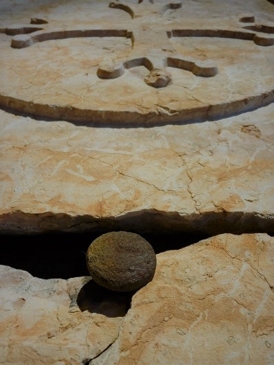 #PANEQUOTIDIANO, «IO SONO LA RISURREZIONE E LA VITA; CHI CREDE IN ME, ANCHE SE MUORE,&nbsp;VIVRÀ»