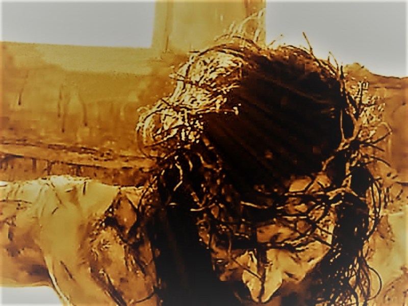 Figlie della Chiesa Lectio DOMENICA DELLE PALME (ANNO&nbsp;A)