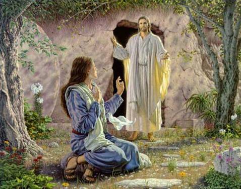 Don Paolo Zamengo”Vedere Gesù ” Pasqua