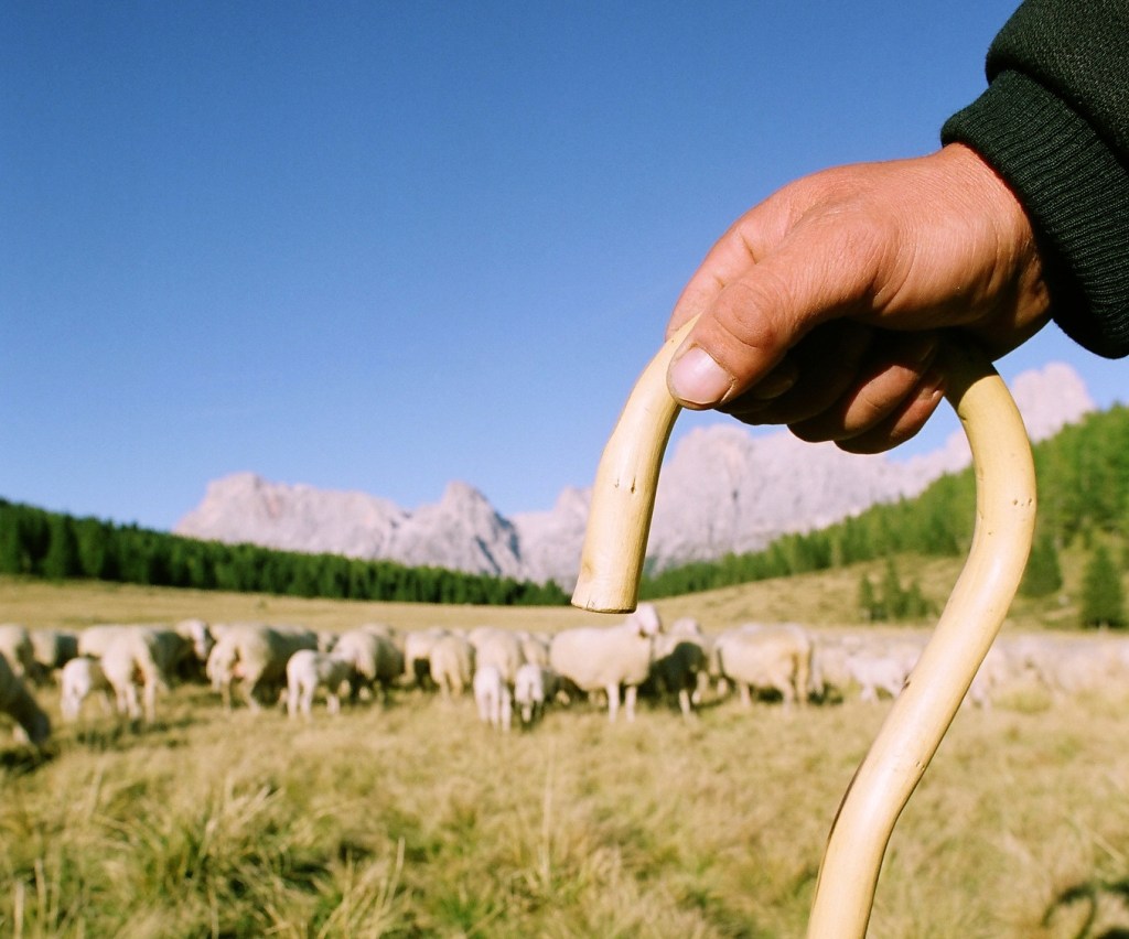 Mons.Nunzio Galantino”Dall’omologazione ci libera solo la&nbsp;sequela”