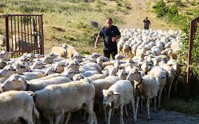 Battista Borsato “L’ubbidienza non è più una&nbsp;virtù”