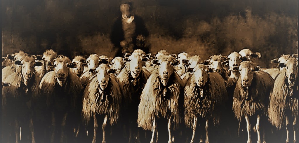 Figlie della Chiesa Lectio IV Domenica di&nbsp;Pasqua