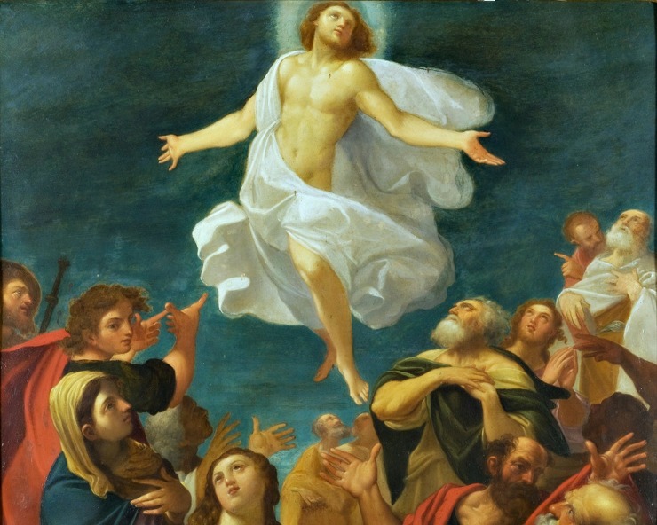 Francesco Buono Omelia Ascensione del Signore (Anno&nbsp;A)