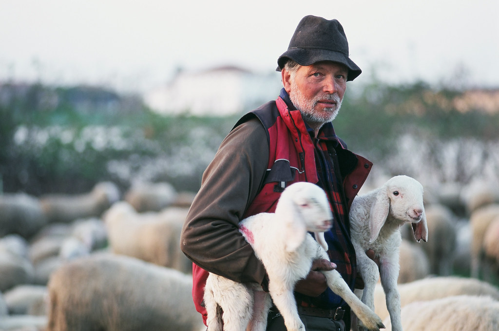 Monastero Matris Domini Lectio “Io sono la porta delle&nbsp;pecore”