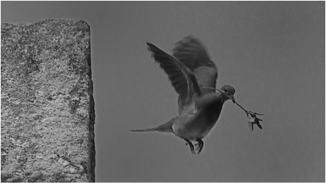 DAL «COMMENTO SULLA SECONDA LETTERA AI CORINZI» DI SAN CIRILLO DI ALESSANDRIA,”DIO CI HA RICONCILIATI PER MEZZO DI&nbsp;CRISTO”