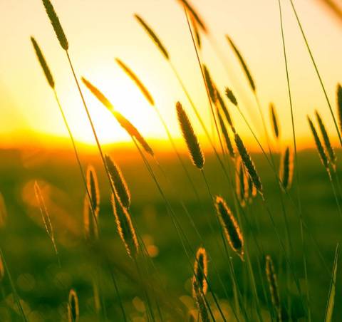 Wilma Chasseur”Esplosione di vita&nbsp;eterna”