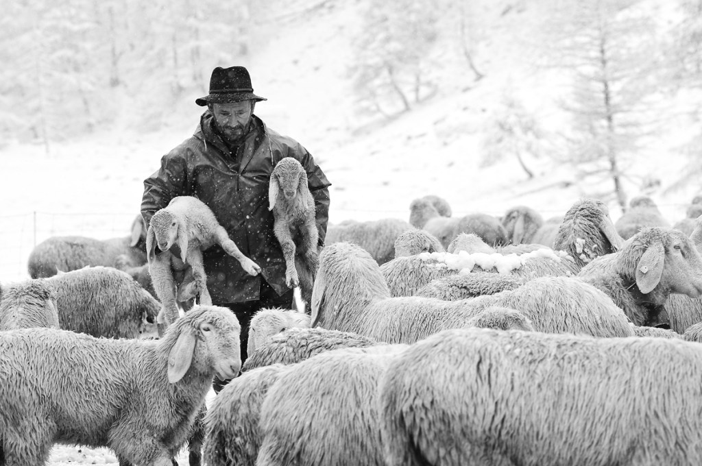Don Paolo Scquizzato Commento OMELIA IV domenica di&nbsp;Pasqua