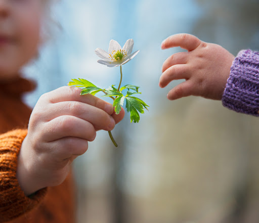 P. Gaetano Piccolo S.J.”Il linguaggio dell’amore”