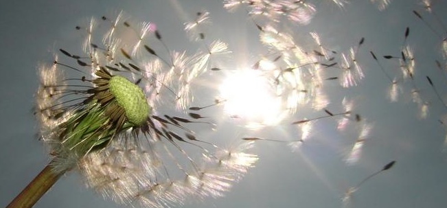 Don Paolo Zamengo”Soffio di Dio, respiro dell’uomo”