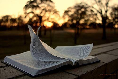 DAL TRATTATO «CONTRO LE ERESIE» DI SANT’IRENEO, “LA MISSIONE DELLO SPIRITO&nbsp;SANTO”