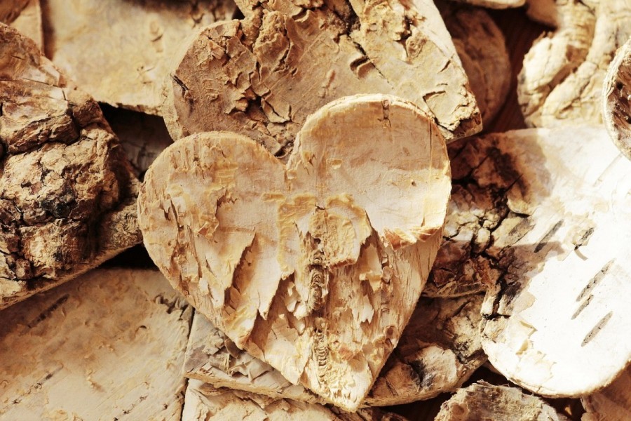 Figlie della Chiesa Lectio XIII Domenica del Tempo&nbsp;Ordinario