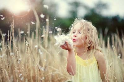 Fernando Armellini”“Piccolo”, l’unico titolo onorifico”