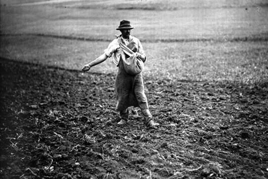 Nico Guerini” A scuola dalla&nbsp;natura”