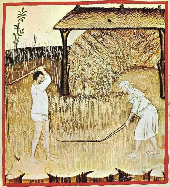 Don Luciano Commento XVI domenica del T.O./A: Il tempo della misericordia