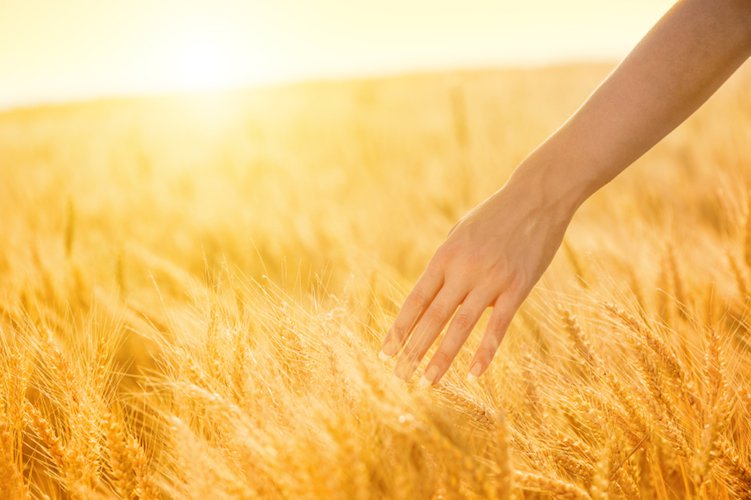 Mons.Francesco Follo Lectio”Il Regno dei Cieli è seminato in noi dall’amore di&nbsp;Cristo”