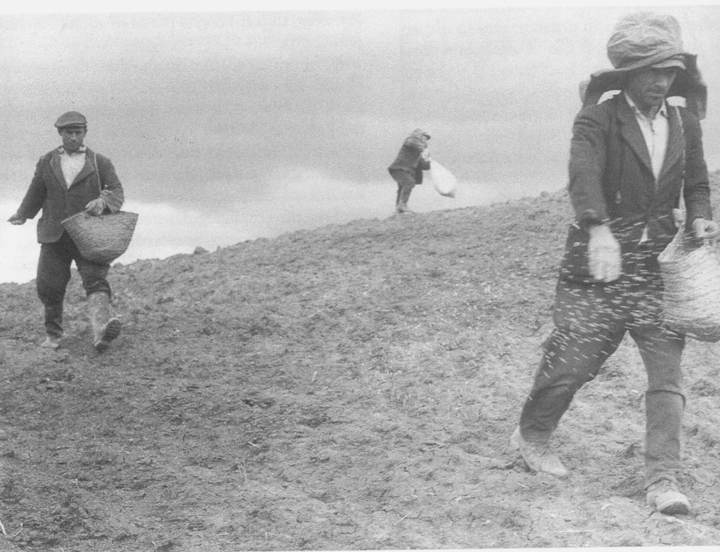 Padre Paolo Berti“Ecco, il seminatore uscì a&nbsp;seminare”