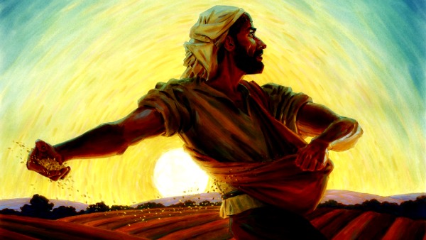 fr. Massimo Rossi Commento XV domenica del Tempo&nbsp;Ordinario