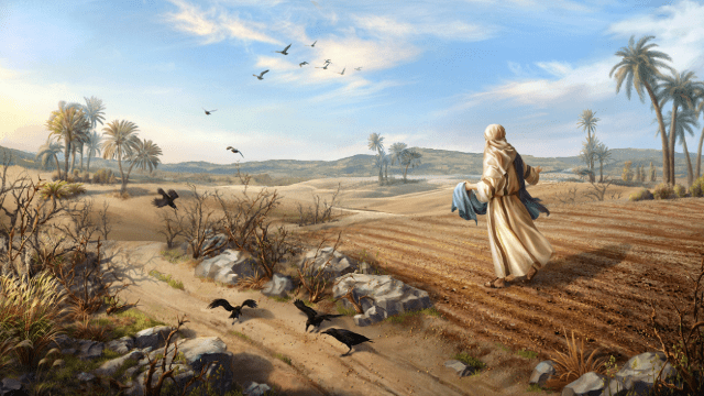 padre Ermes Ronchi”La semina «divina» non esclude&nbsp;nessuno”