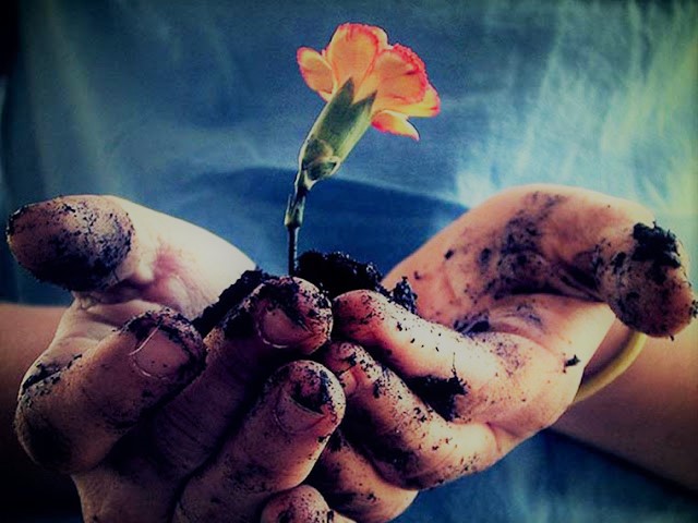 fra Damiano Angelucci”Quando una vita può diventare&nbsp;feconda”