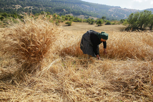 Paolo De Martino “Pazienza”