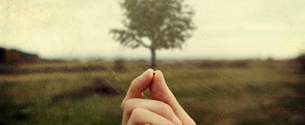 Luca De Santis Commento XXVII Domenica del Tempo Ordinario (Anno C) 