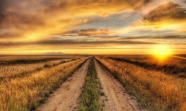 DALLA COSTITUZIONE PASTORALE «GAUDIUM ET SPES» SPERANZA IN UN NUOVO MONDO&nbsp;MIGLIORE