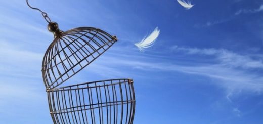 PADRE ALVISE BELLINATO”LIBERI… CHE RESPONSABILITÁ!”