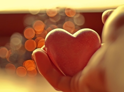 fra Damiano Angelucci”Osare l’Amore”