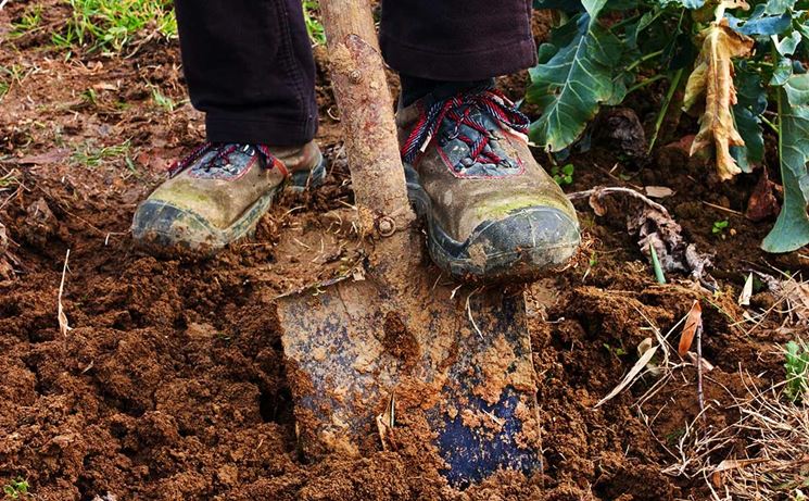 don Roberto Seregni”Scavare nel&nbsp;cuore”