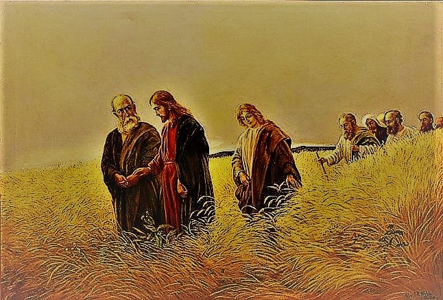 #PANEQUOTIDIANO, «IL FIGLIO DELL’UOMO È SIGNORE DEL&nbsp;SABATO»