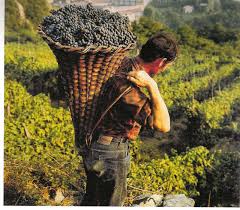 Don Alessandro Di Medio Commento al vangelo di Domenica 27 Settembre&nbsp;2020