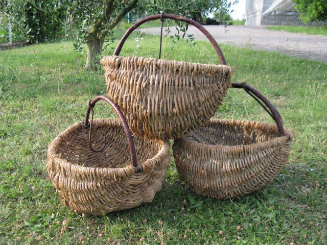 PADRE PAOLO BERTI, “QUANDO FU IL TEMPO DI RACCOGLIERE I FRUTTI, MANDÒ I SUOI SERVI DAI CONTADINI A RITIRARE IL&nbsp;RACCOLTO”