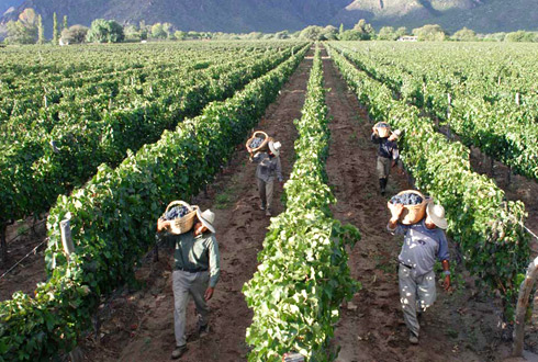 Don Paolo Zamengo”Ricredersi e&nbsp;credere”