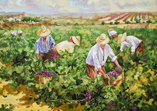 fra Damiano Angelucci “Il guaio della mediocrità”