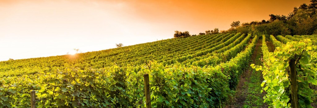 Suor Maria Chiara Lectio XXVI Domenica del Tempo Ordinario (Anno&nbsp;A)