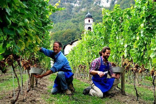 Monastero Matris Domini Lectio “Sei invidioso perché io sono&nbsp;buono?”