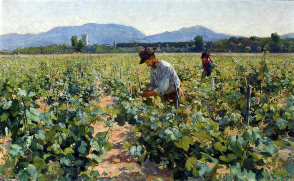 padre Fernando Armellini”Il sì più convinto passa attraverso un&nbsp;no”