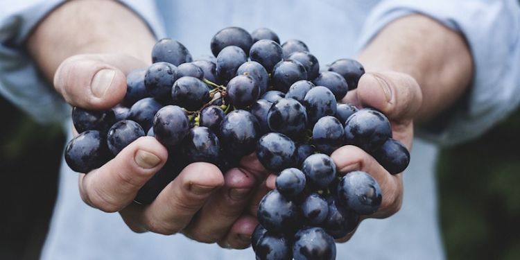 Figlie della Chiesa Lectio “Salvare l’apparenza o salvare i fatti?”