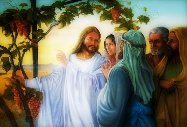 #PANEQUOTIDIANO, «OGNI ALBERO SI RICONOSCE DAL SUO&nbsp;FRUTTO»