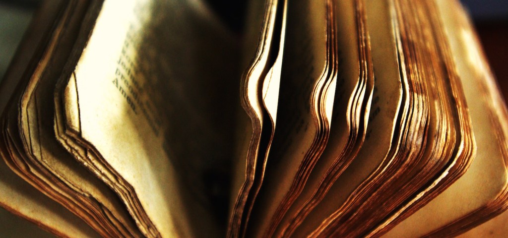 DALLA «LETTERA AI CRISTIANI DI TRALLE» DI SANT’IGNAZIO DI ANTIOCHIA, “VOGLIO PREMUNIRVI, COME FIGLI AMATISSIMI”