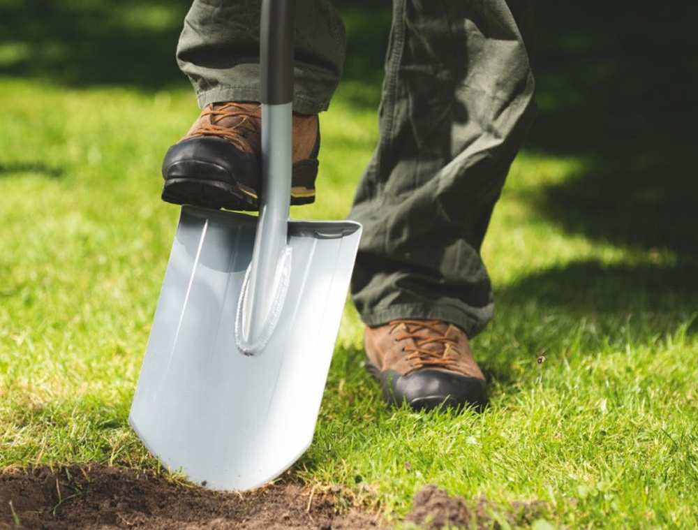 P. Gaetano Piccolo S.J. Commento XXXIII Domenica del Tempo&nbsp;Ordinario