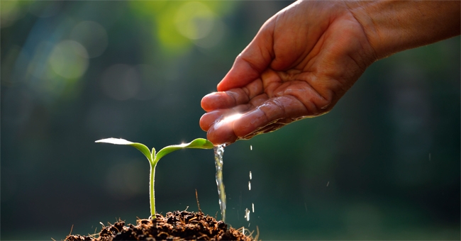Monastero Matris Domini  Lectio “Sei stato fedele nel poco, prendi parte alla gioia del tuo&nbsp;padrone”
