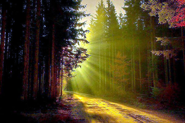 Paolo De Martino “. Dio vuole nascere in&nbsp;te!”