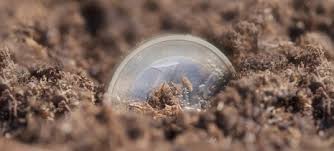 Mons.Francesco Follo Lectio “Il talento è l’amore che il Signore ha per ciascuno di noi e la nostra risposta è amare”