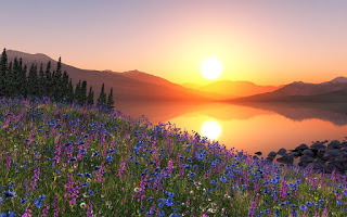 Rosanna Virgili Commento Domenica 19&nbsp;febbraio